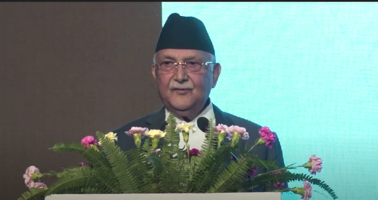 kp oli